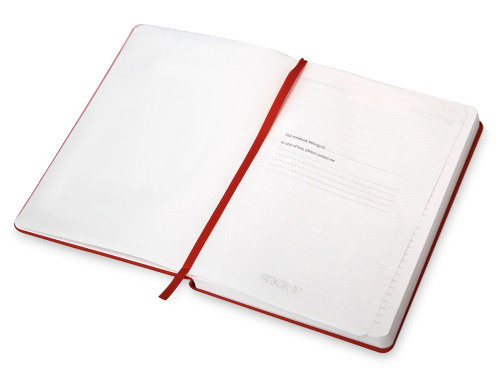 Бизнес-блокнот С3 софт-тач с магнитом, твердая обложка, 128 листов, красный